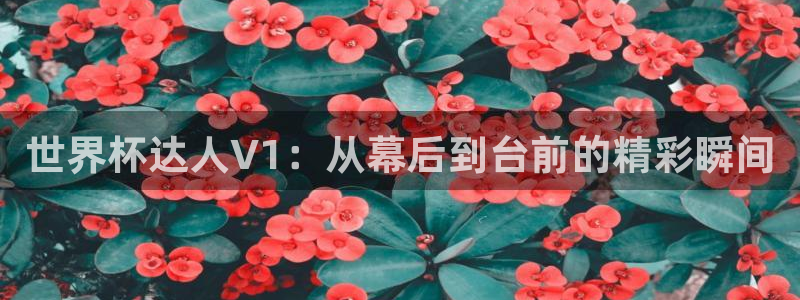2026世界杯预选赛：世界杯达人V1：从幕后到台前的精彩瞬间
