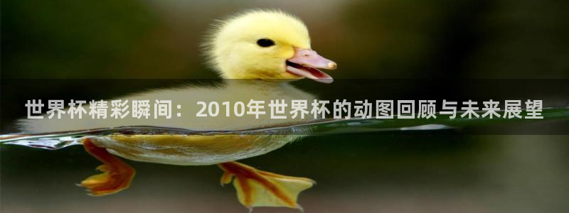 世界杯足球赛2026：世界杯精彩瞬间：2010年世界杯的动图回顾与未来展望