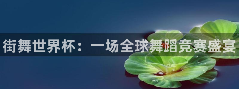 世界杯对阵图2026：街舞世界杯：一场全球舞蹈竞赛盛宴