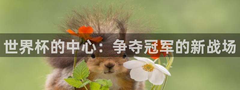 世界杯女足直播：世界杯的中心：争夺冠军的新战场