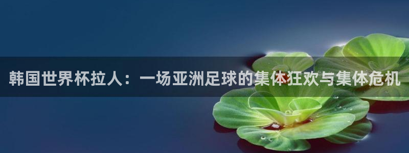 2026世界杯亚洲预选赛赛程：韩国世界杯拉人：一场亚洲足球的集体狂欢与集体危机