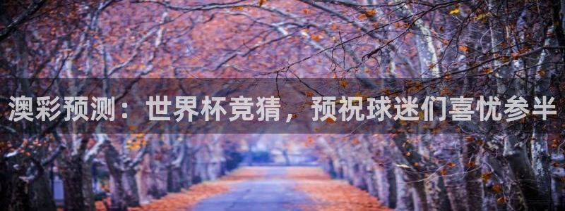 2026世界杯中国队：澳彩预测：世界杯竞猜，预祝球迷们喜忧参半