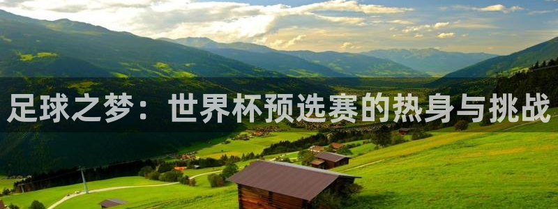 世界杯 赛程：足球之梦：世界杯预选赛的热身与挑战