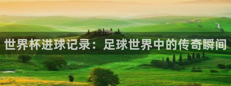 2026世界杯欧洲预选赛赛程表：世界杯进球记录：足球世界中的传奇瞬间