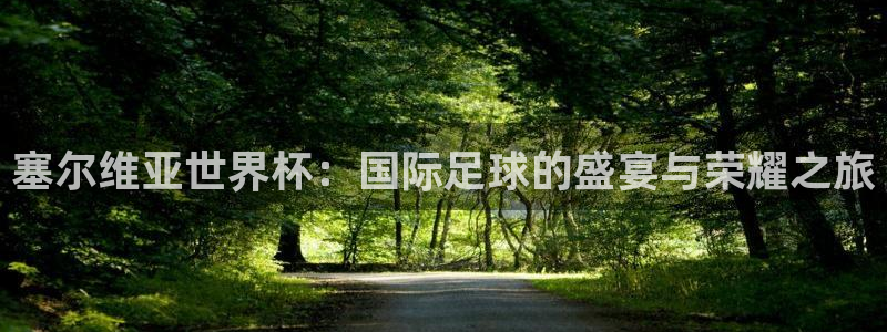 世界杯2026比赛时间表：塞尔维亚世界杯：国际足球的盛宴与荣耀之旅