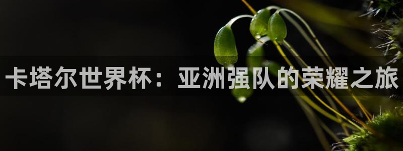 世界杯直播时间:卡塔尔世界杯:亚洲强队的荣耀之旅