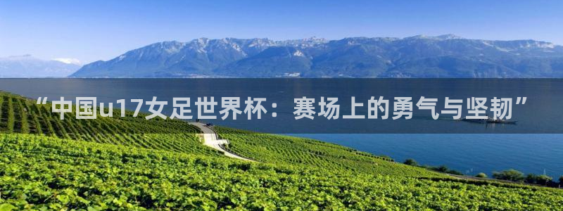 世界杯预选赛：“中国u17女足世界杯：赛场上的勇气与坚韧”