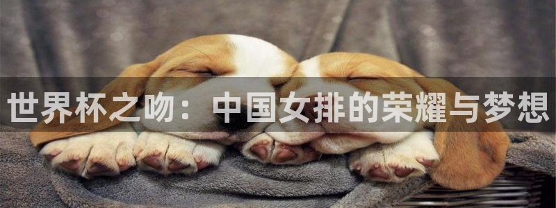 世界杯球赛：世界杯之吻：中国女排的荣耀与梦想