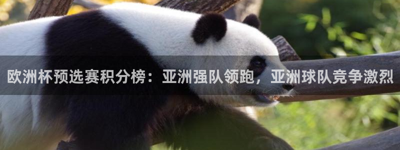2026世界杯欧洲预选赛赛程表：欧洲杯预选赛积分榜：亚洲强队领跑，亚洲球队竞争激烈
