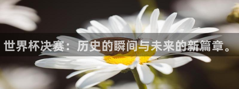 2026世界杯亚洲预选赛赛程：世界杯决赛：历史的瞬间与未来的新篇章。