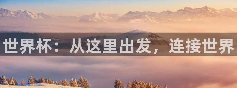世界杯直播平台：世界杯：从这里出发，连接世界