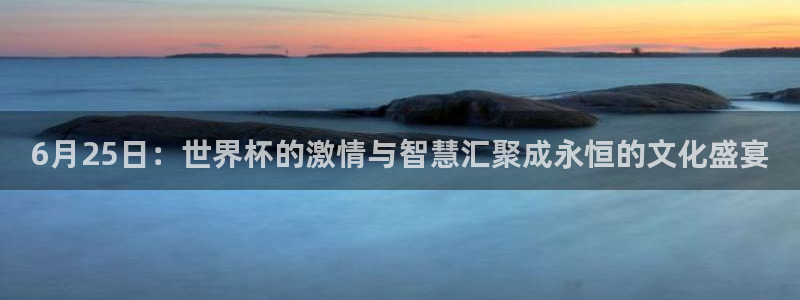 美国世界杯：6月25日：世界杯的激情与智慧汇聚成永恒的文化盛宴