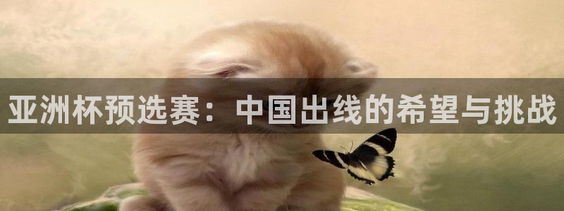 世界杯比赛时间：亚洲杯预选赛：中国出线的希望与挑战